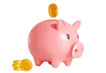 pig